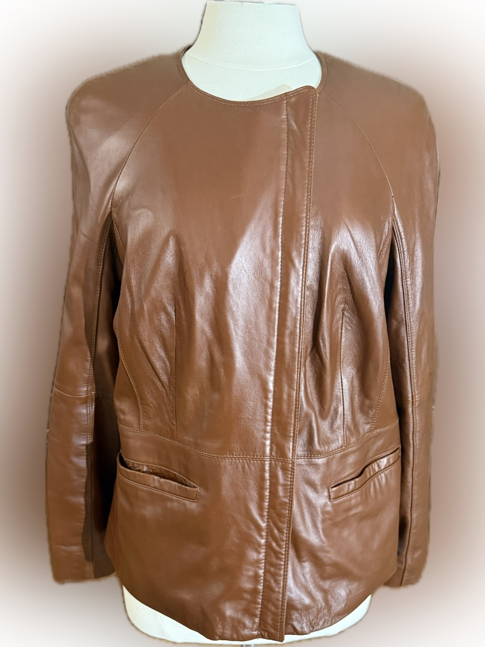 Hal Rubenstein Brown Genuine Leather Zip Front Jacket Size Large
